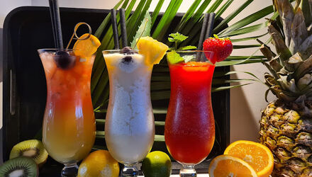 Nationale Dinerbon Nieuwkoop Your Flavorite Mojito