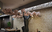 Nationale Dinerbon Groningen Digibites